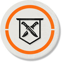 Трофей {trophy} в игре Tom Clancy's The Division 2 для PS4