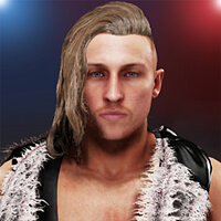 Трофей {trophy} в игре WWE 2K19 для PS4