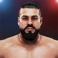 Трофей {trophy} в игре WWE 2K19 для PS4