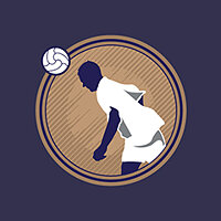 Трофей {trophy} в игре FIFA 19 для PS3