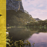Достижение Абсолютная гибкость в игре Fishing Sim World: Pro Tour для Xbox One