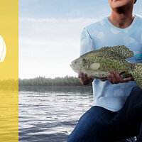 Достижение Рыба Ян в игре Fishing Sim World: Pro Tour для Xbox One