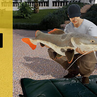 Достижение Тренировка рук в игре Fishing Sim World: Pro Tour для Xbox One