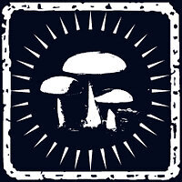Трофей {trophy} в игре Shadow of the Tomb Raider для PS4