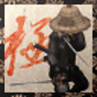 Достижение Ninja Dual Sword Stance Mastery в игре Way of the Samurai 3 для Xbox 360