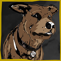 Трофей {trophy} в игре The Walking Dead: Season 2 для PS Vita