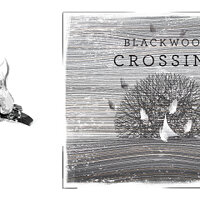 Достижение Fire Starter в игре Blackwood Crossing для Xbox One