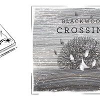 Достижение Doodle dandy в игре Blackwood Crossing для Xbox One