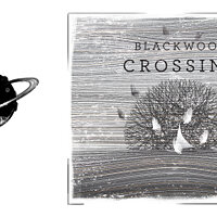 Достижение You spin me right round в игре Blackwood Crossing для Xbox One
