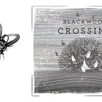 Достижение Dark Destroyer в игре Blackwood Crossing для Xbox One