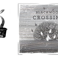 Достижение Green Fingered в игре Blackwood Crossing для Xbox One