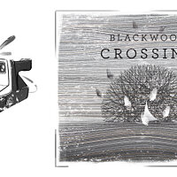 Достижение A moment captured в игре Blackwood Crossing для Xbox One