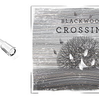 Достижение Who's the daddy? в игре Blackwood Crossing для Xbox One