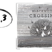 Достижение Big Cheater в игре Blackwood Crossing для Xbox One