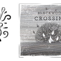 Достижение Guitar man в игре Blackwood Crossing для Xbox One
