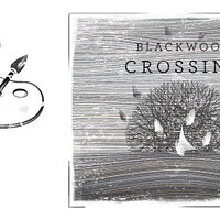 Достижение Prize draw в игре Blackwood Crossing для Xbox One