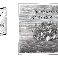 Достижение Poster Club в игре Blackwood Crossing для Xbox One