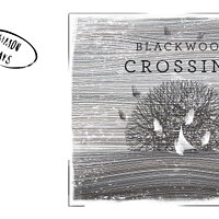 Достижение Simon Says: Good to Go в игре Blackwood Crossing для Xbox One