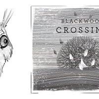 Достижение Not a happy bunny в игре Blackwood Crossing для Xbox One