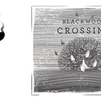 Достижение Redemption в игре Blackwood Crossing для Xbox One