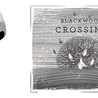 Достижение Catharsis в игре Blackwood Crossing для Xbox One