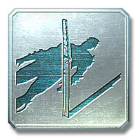 Трофей {trophy} в игре Metal Gear Rising: Revengeance для PS3