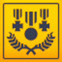 Достижение Fidelity Medallion в игре Sky Force Anniversary для Steam