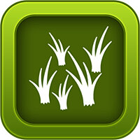 Трофей {trophy} в игре Farming Simulator 2014 для PS Vita