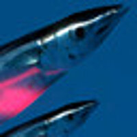 Достижение Sanma Festival в игре Ace of Seafood для Steam