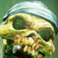 Достижение 24 Carat в игре Killer Instinct: Season 1 для Steam