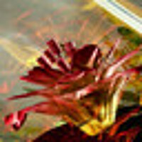 Достижение Sparring Shin Hisako в игре Killer Instinct: Season 1 для Steam