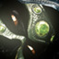 Достижение Sadira's Endurance в игре Killer Instinct: Season 1 для Steam