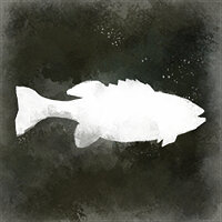 Трофей {trophy} в игре The Long Dark для PS4