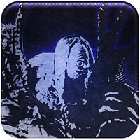 Трофей {trophy} в игре Resident Evil: Revelations для PS4