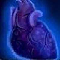 Достижение Dark Heart of Pandaria в игре World of Warcraft для Blizzard