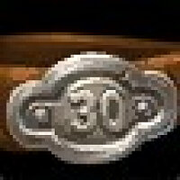Достижение Level 30 в игре World of Warcraft для Blizzard