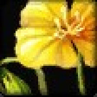 Достижение Praise the Sunflower в игре World of Warcraft для Blizzard