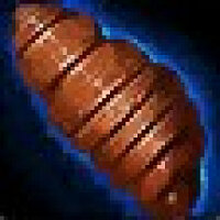 Достижение Hurry Up, Maggot! в игре World of Warcraft для Blizzard