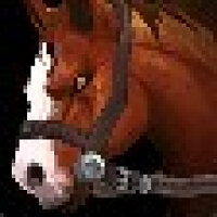 Достижение The Reining Champion в игре World of Warcraft для Blizzard