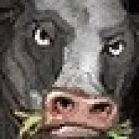 Достижение Lactose Intolerant в игре World of Warcraft для Blizzard
