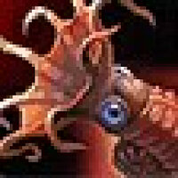 Достижение Fire Ammonite Angler в игре World of Warcraft для Blizzard