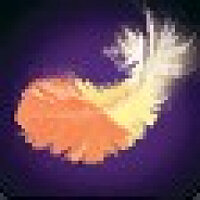 Достижение Featherweight Brawler в игре World of Warcraft для Blizzard