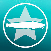 Трофей {trophy} в игре Euro Fishing для PS4