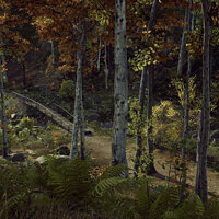 Достижение In Need of New Shoes в игре Way of the Hunter для Xbox Series