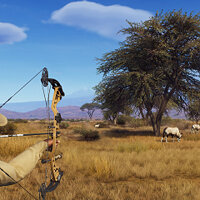 Достижение Don Cupi в игре Way of the Hunter для Xbox Series