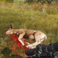 Достижение Not Great, Not Terrible в игре Way of the Hunter для Xbox Series