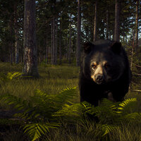 Достижение Go Big or Go Home в игре Way of the Hunter для Xbox Series