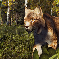 Достижение A Lynx to the Past в игре Way of the Hunter для Xbox Series