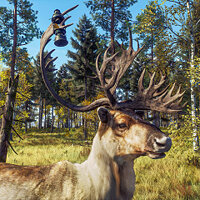 Достижение Will-o'-the-Wisp в игре Way of the Hunter для Xbox Series
