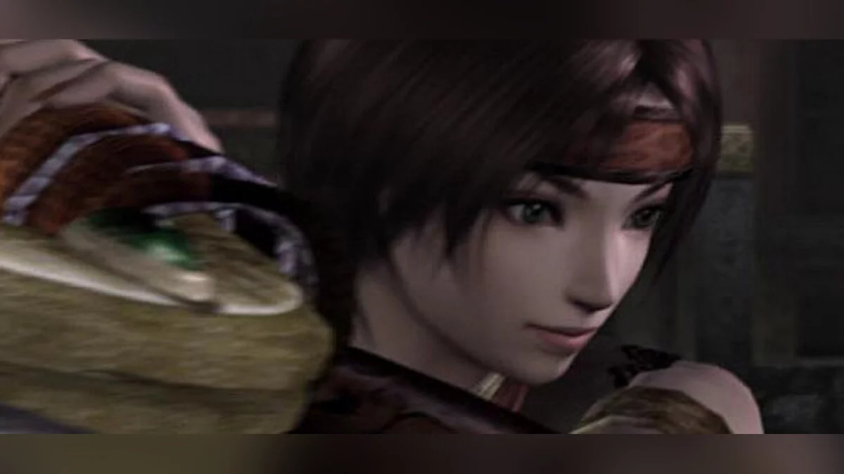 Warriors Orochi — Сохранение / SaveGame (Игра пройдена на 100%, все герои максимального уровня, все оружие прокачано, скакуны)